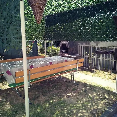 Sweet Green With Garden